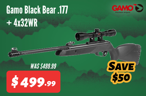 Gamo Black Bear .177 + 4x32WR